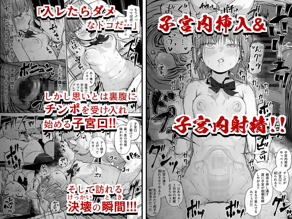 無料エロ漫画 【処女レイプエロ漫画】尊敬してる人が屈した姿をみて私の心は折れてしまったんです…【女子写真部とおじさん指導員5／サークルみづさね】 FANZA